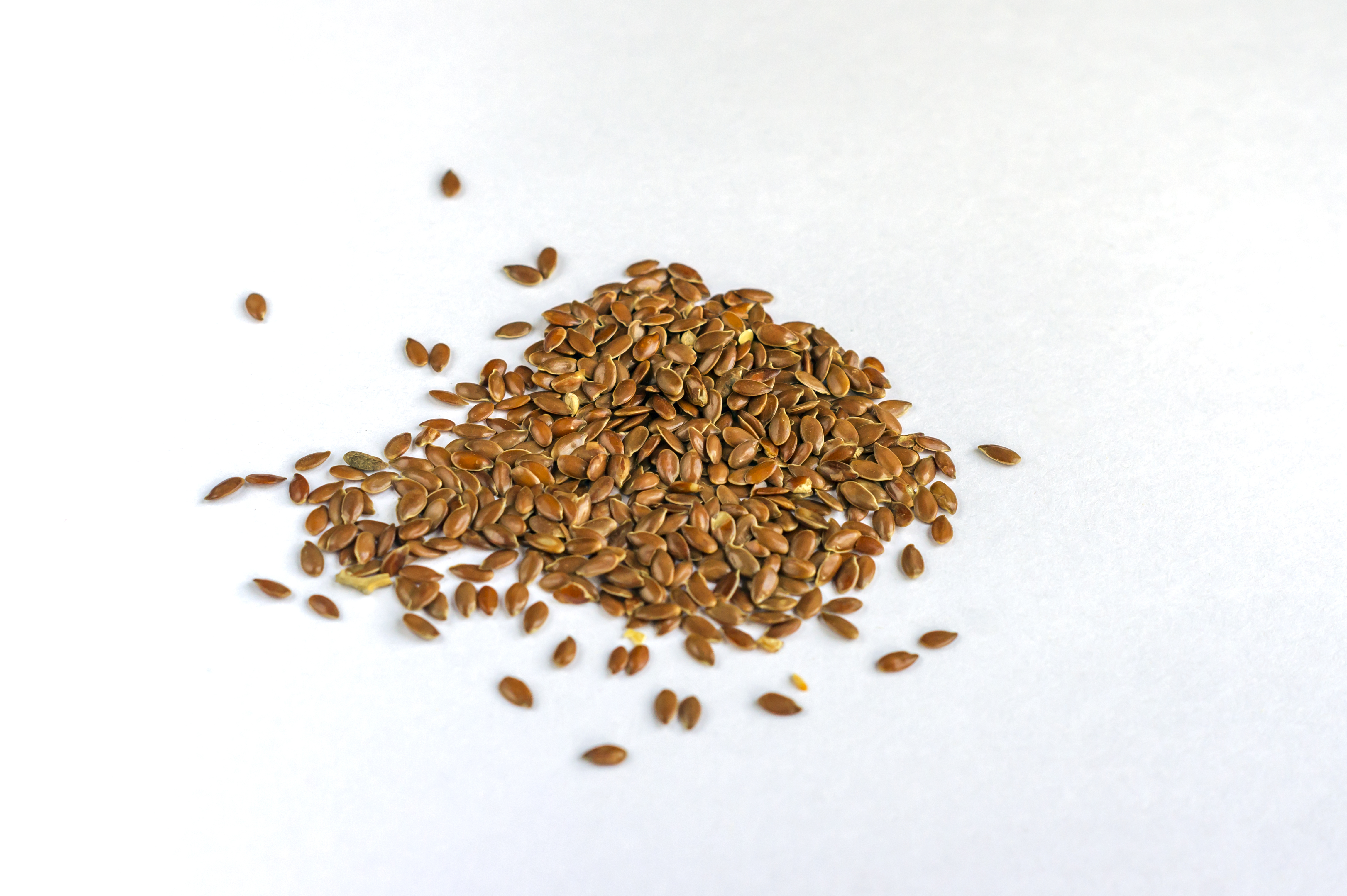 Flax Seeds